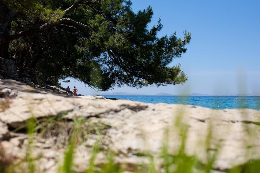 Vila Stone House Kula Milica Mala Cista Exteriér fotografie