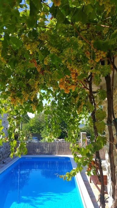 Vila Stone House Kula Milica Mala Cista Exteriér fotografie