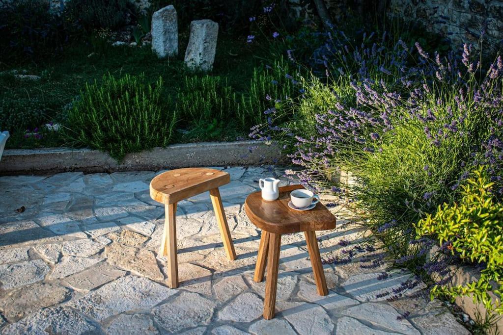 Vila Stone House Kula Milica Mala Cista Exteriér fotografie