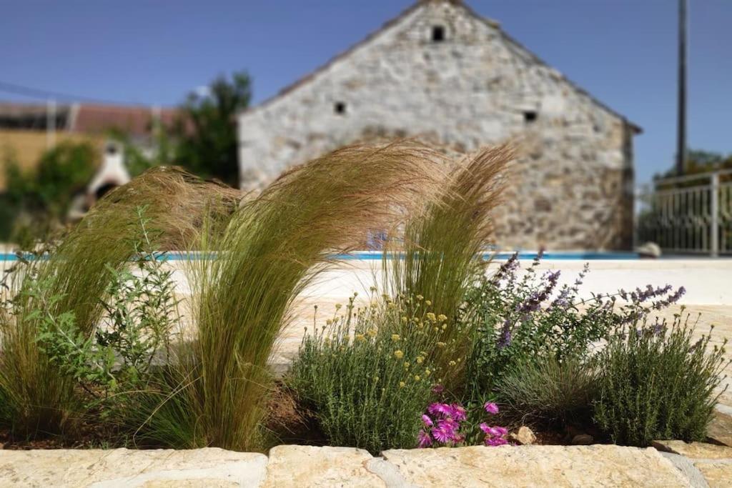 Vila Stone House Kula Milica Mala Cista Exteriér fotografie